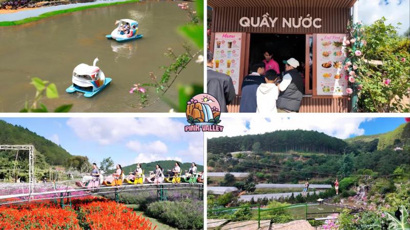 Pink Valley: Thung lũng đẹp như cổ tích ở Đà Lạt khiến giới trẻ mê mẩn chỉ với 120.000 đồng - Ảnh 4. Pink Valley: Thung lũng đẹp như cổ tích ở Đà Lạt khiến giới trẻ mê mẩn chỉ với 120.000 đồng - Ảnh 4.