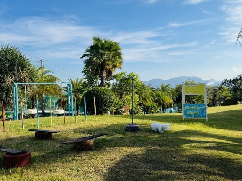 Khi “boss” cũng cần một kỳ nghỉ: Duyên Hà Resort Cam Ranh và trải nghiệm Pet Friendly giữa Bãi Dài - Ảnh 4. Khi “boss” cũng cần một kỳ nghỉ: Duyên Hà Resort Cam Ranh và trải nghiệm Pet Friendly giữa Bãi Dài - Ảnh 4.