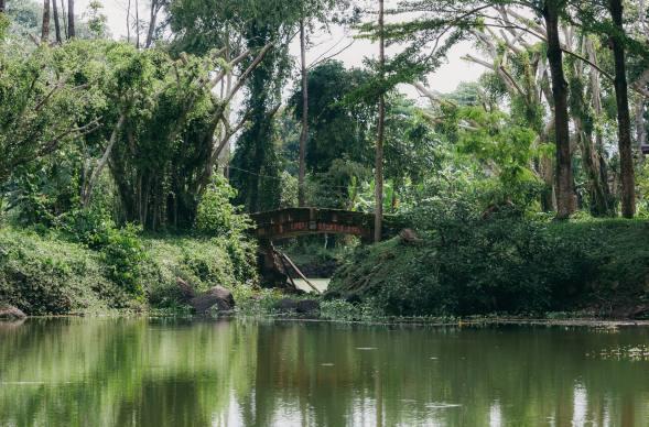 Không thể tin đây là NSƯT giàu nhất Việt Nam, sở hữu 5 hòn đảo mà sao tàn tạ thế này- Ảnh 8.