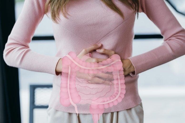 Cắt bỏ hoàn toàn đường có thể phản tác dụng? Nghiên cứu mới phát hiện chuột kiêng đường xuất hiện gan nhiễm mỡ và rối loạn chuyển hóa - Ảnh 3.