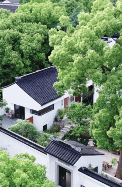 Bán căn hộ ở thành phố để về quê cải tạo nhà tổ rộng gần 1.000m²: Gia đình 3 thế hệ tìm thấy cuộc sống bình yên sau cánh cổng cũ- Ảnh 2.