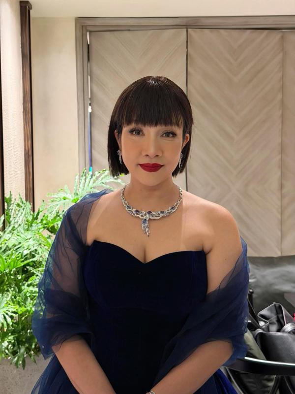 Tình hình hiện tại của Diva Mỹ Linh - Ảnh 5.