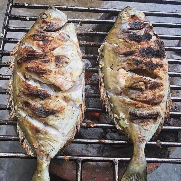 Loại cá thịt ngọt, dai lại ít tanh, đặc sản nhiều người ưa thích - Ảnh 3.