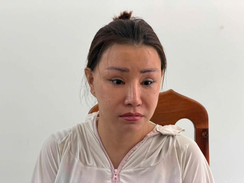 Khám xét nơi ở, bắt tạm giam người phụ nữ buôn thuốc truyền trắng Lê Trần Thảo- Ảnh 7.