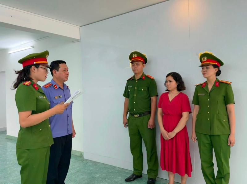 Khám xét nơi ở, bắt tạm giam người phụ nữ buôn thuốc truyền trắng Lê Trần Thảo- Ảnh 2.