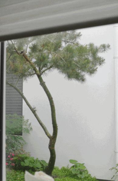 Bán căn hộ ở thành phố để về quê cải tạo nhà tổ rộng gần 1.000m²: Gia đình 3 thế hệ tìm thấy cuộc sống bình yên sau cánh cổng cũ- Ảnh 12.