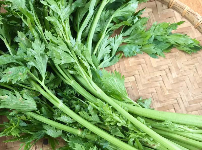 Loại rau quen thuộc với người Việt, được nhắc đến trong sử thi nổi tiếng Hy Lạp: Hóa ra là dược liệu quý- Ảnh 2.