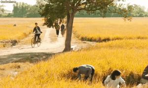 Mỹ nhân duy nhất biến câu "nhan sắc có hạn thủ đoạn vô biên" thành 1 lời khen: Nhìn mặt là biết chẳng tầm thường- Ảnh 4.