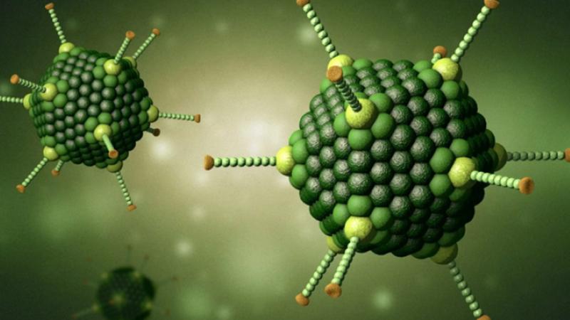 1 loại virus đang tăng nhanh, bể bơi công cộng nguy cơ lây nhiễm: Bác sĩ cảnh báo dấu hiệu trẻ mắc bệnh, phụ huynh đừng chủ quan - Ảnh 2.