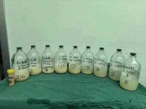 Bé gái 6 tuổi ho suốt ngày, bố mẹ sốc khi bác sĩ lấy thứ "đáng sợ" lấp đầy hai lá phổi