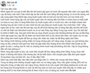 Tình hình hiện tại của Diva Mỹ Linh