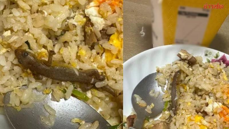 Đang ăn cơm rang, cô gái sốc thấy thứ "đáng sợ" trong đĩa - Ảnh 1.
