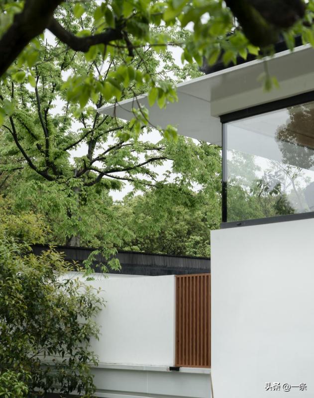 Bán căn hộ ở thành phố để về quê cải tạo nhà tổ rộng gần 1.000m²: Gia đình 3 thế hệ tìm thấy cuộc sống bình yên sau cánh cổng cũ- Ảnh 19.