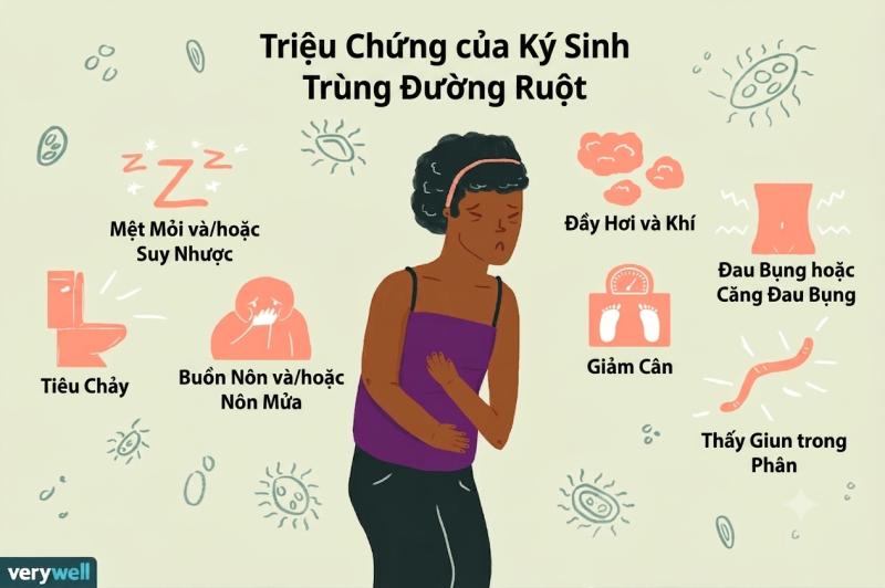 Trào lưu "detox tẩy giun sán" trên mạng xã hội: Bác sĩ cảnh báo nguy hiểm, không có bằng chứng khoa học - Ảnh 4.