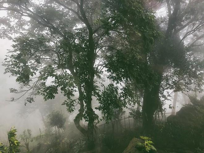 Căn nhà ở quê của Hoàng Thuỳ Linh- Ảnh 4.