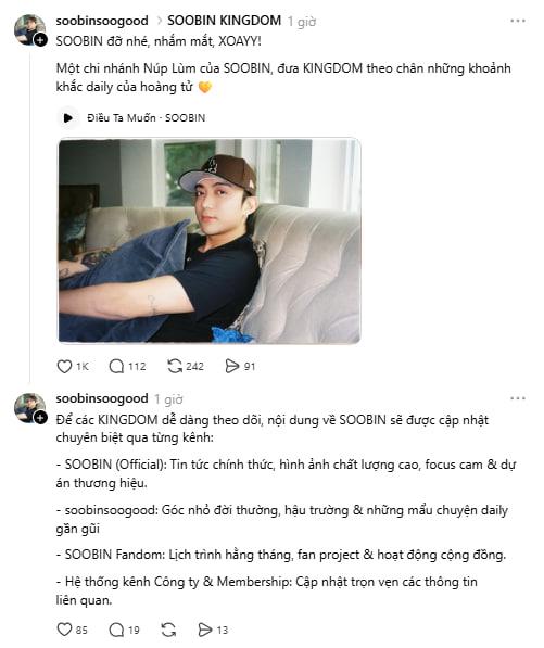 Chưa thể vừa lòng fan SOOBIN - Ảnh 2.