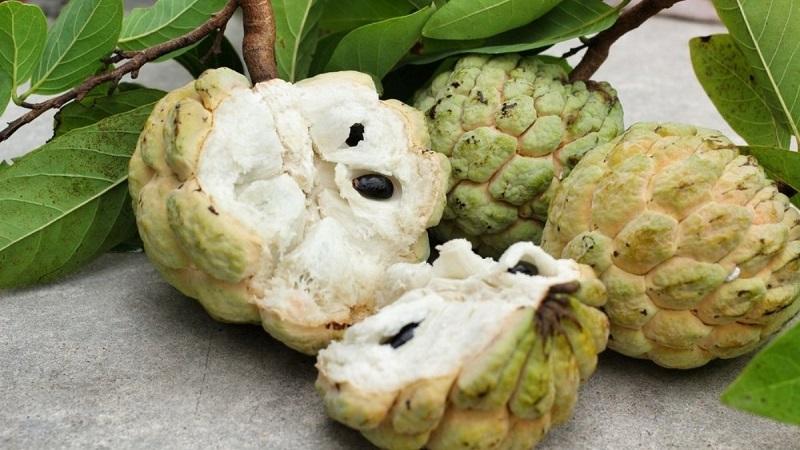Thứ quả đang vào mùa ngon nhất, tốt cho tim mạch và huyết áp - Ảnh 3.