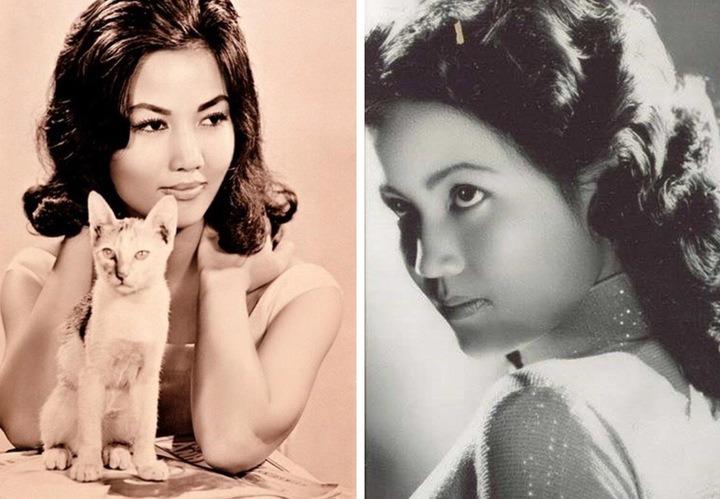 Việt Nam có duy nhất 1 mỹ nhân khiến cả thế giới rơi lệ, đổi đời thành minh tinh Hollywood chỉ nhờ đi dạo phố- Ảnh 4.