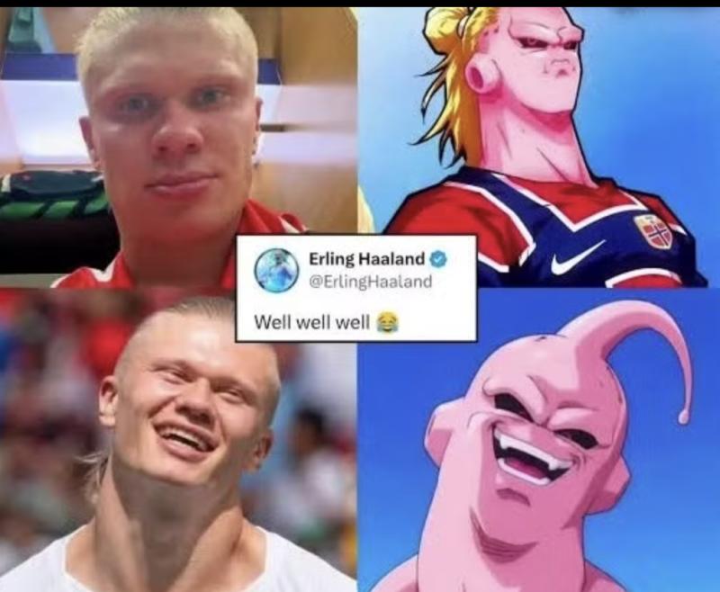 Tiết lộ chiếc meme khiến "quái thú" Erling Haaland thích thú nhất: Hóa ra là khoảnh khắc giật mình này!- Ảnh 2.