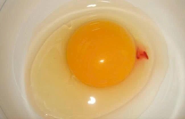 Vì sao lòng đỏ trứng lại có đốm máu? Câu trả lời khiến nhiều người bất ngờ - Ảnh 1.