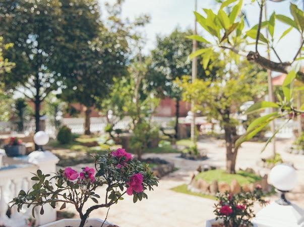Biệt phủ 10.000 m² ở quê của Lý Nhã Kỳ- Ảnh 3.