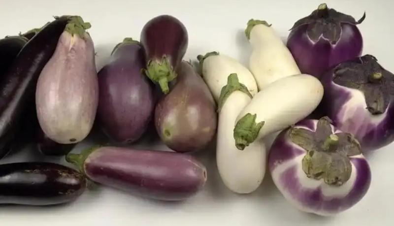 Một đĩa cà tím xào đã gây ngộ độc cho năm người, các bác sĩ cảnh báo: Hãy tránh ăn cà tím theo cách này, nó độc hơn cả thạch tín- Ảnh 5.