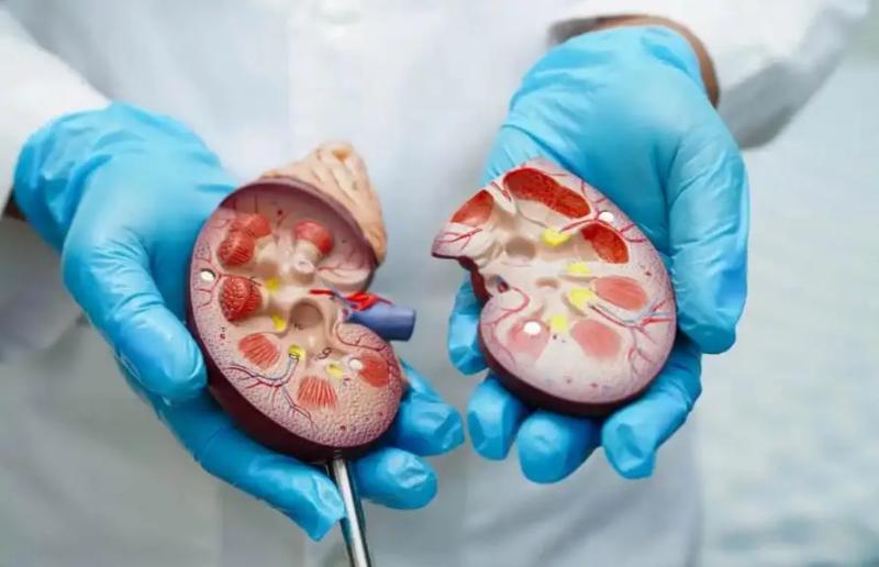Quá trình lão hóa của các cơ quan ở nam giới đã được hé lộ, các anh có thể tham khảo để biết mình đang ở giai đoạn nào - Ảnh 2.