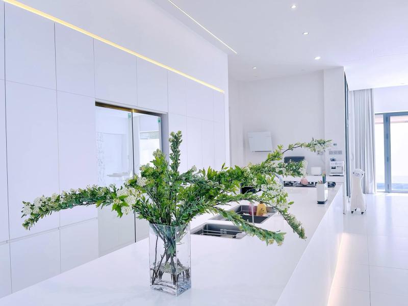 Biệt thự trắng 300m2 của ca sĩ Thủy Tiên- Ảnh 6.