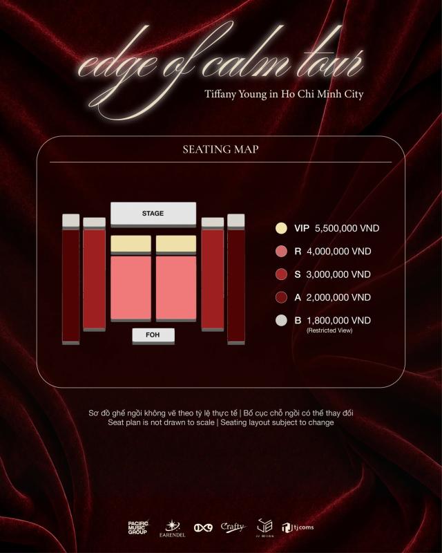 Nữ ca sĩ hạng A hết thời, làm concert ở Việt Nam mà không ai biết- Ảnh 3.