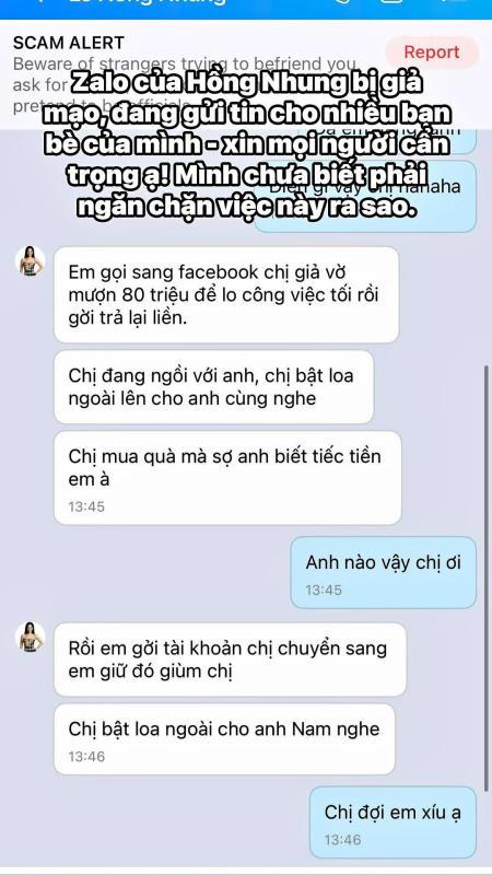 Diva Hồng Nhung thông báo khẩn- Ảnh 1.