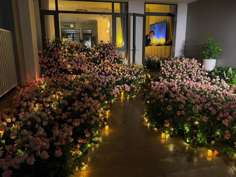 Động thái lúc nửa đêm của Diệp Lâm Anh- Ảnh 1.