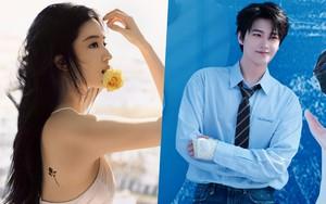 Bức ảnh chứng minh Lưu Diệc Phi mãi mãi là thần tiên tỷ tỷ: Thần nữ trong tranh cũng chỉ đến vậy- Ảnh 8.