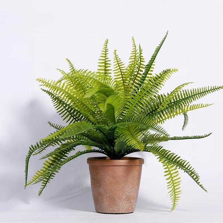 5 loại cây trồng trong nhà giúp lọc không khí hiệu quả- Ảnh 4.