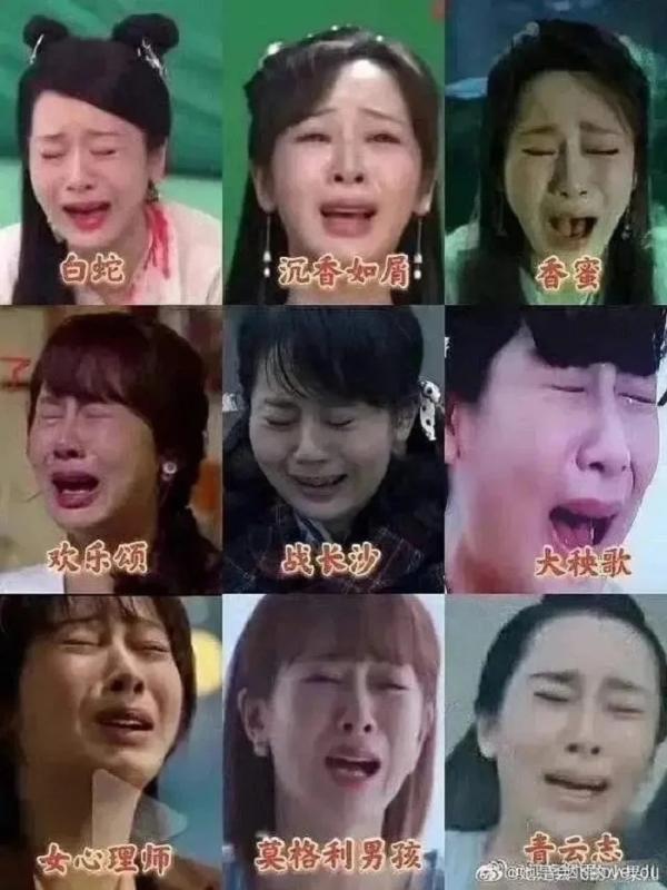 Mỹ nhân 2004 dạy cho Dương Tử, Địch Lệ Nhiệt Ba một bài học- Ảnh 4.