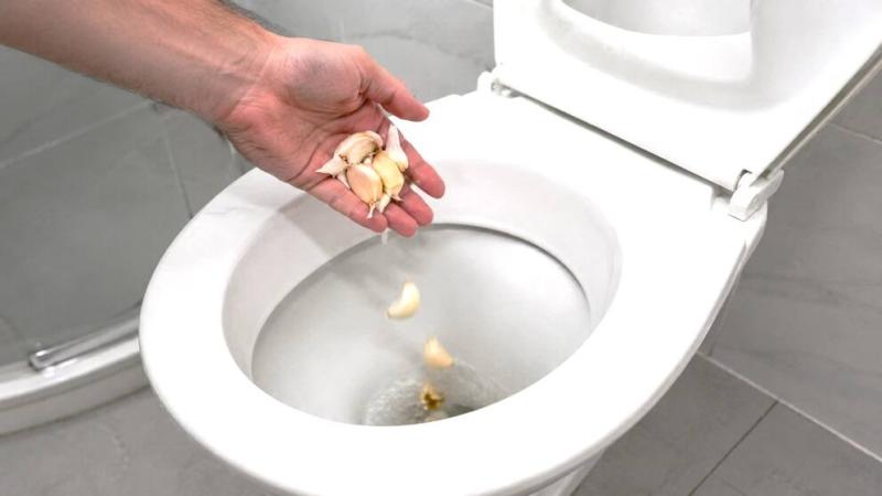 Vì sao ngày càng nhiều gia đình thích bỏ 1 tép tỏi vào bồn cầu mỗi đêm? - Ảnh 3.