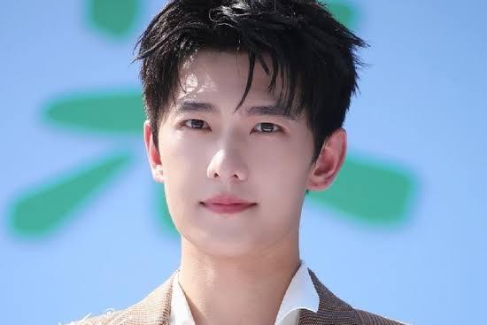 Mỹ nhân khiến dàn nam thần châu Á đổ gục: Lee Min Ho ước được "nên duyên", Dương Dương - Huỳnh Hiểu Minh say đắm- Ảnh 11.
