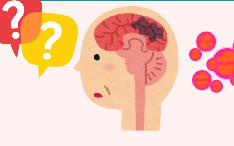 Ai có nguy cơ mắc bệnh do não mô cầu cao hơn? - Ảnh 1.