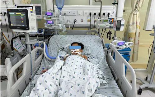 Ăn chuột đồng, 3 chị em ngộ độc thuốc diệt chuột - Ảnh 1.