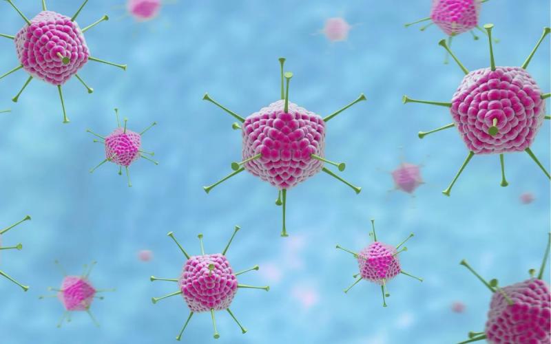Vì sao bệnh do virus Adeno dễ lây lan trong mùa hè? - Ảnh 1.