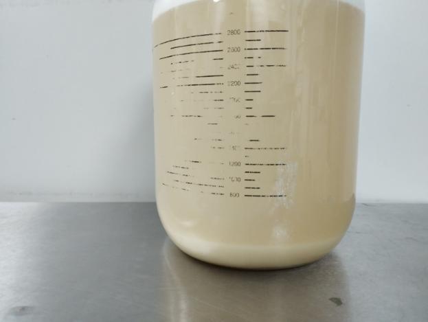 Bé gái 6 tuổi ho suốt 2 tháng, phổi chứa đầy dịch trắng như sữa: Bác sĩ lên tiếng cảnh báo- Ảnh 2.