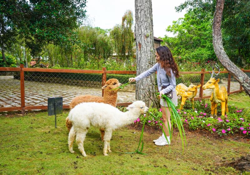 TTC World – Thung lũng Tình yêu ra mắt Dalazoo, mở rộng hệ sinh thái trải nghiệm - Ảnh 3.