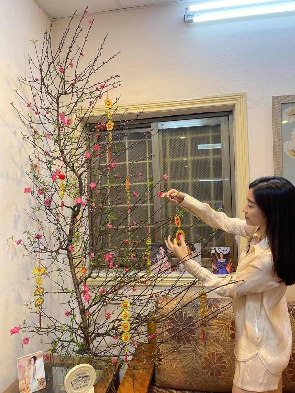 Căn nhà ở quê của Đỗ Mỹ Linh - Ảnh 2.