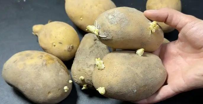 5 LOẠI rau quen thuộc có khả năng tích tụ kim loại nặng, người Việt nên cẩn thận nguồn gốc trước khi sử dụng- Ảnh 2.