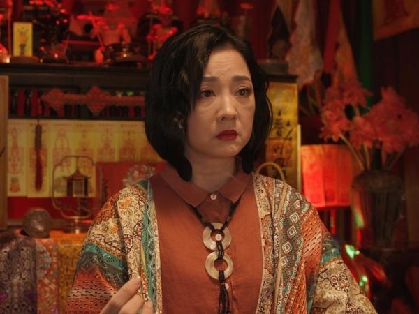Mỹ nhân Việt duy nhất U50 vẫn được gọi là công chúa, gương mặt đẹp như tạc từ giấc mộng ngàn năm- Ảnh 6.