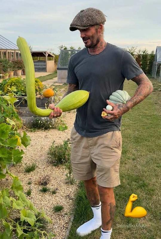 Khu vườn trồng rau nuôi gà 350 tỷ của Beckham  - Ảnh 6.