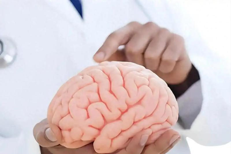 Liệu mỗi miếng ăn có đang đẩy nhanh quá trình teo não? Cảnh báo 3 loại thực phẩm là "chất xúc tác" gây sa sút trí tuệ - Ảnh 1.