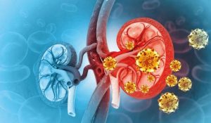 5 việc làm ngay sau khi thức dậy buổi sáng cực tốt cho thận, ngang dùng "thuốc bổ"