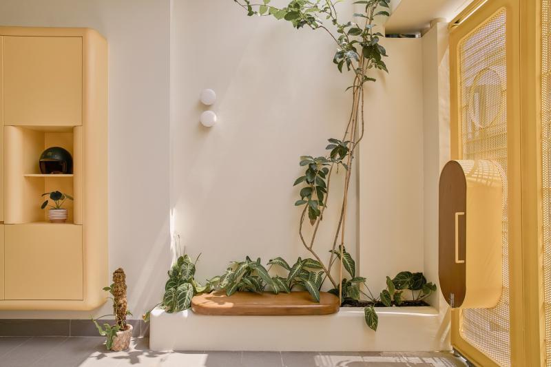Căn nhà bo tròn mọi góc của Châu Muối: Bếp rộng hơn phòng khách, làm lố ngân sách 40% nhưng vào ở thì không muốn ra đường nữa- Ảnh 3.