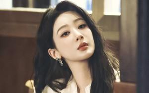 Dương Tử bị vạch mặt- Ảnh 6.