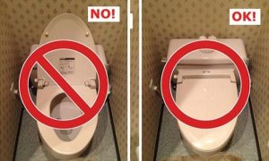 Chuyện gì xảy ra nếu bạn xả nước bồn cầu không đóng nắp?